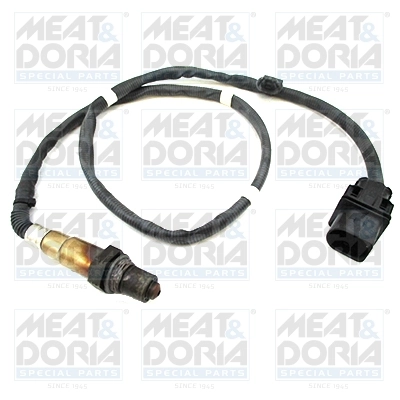 Oxygen Sensor